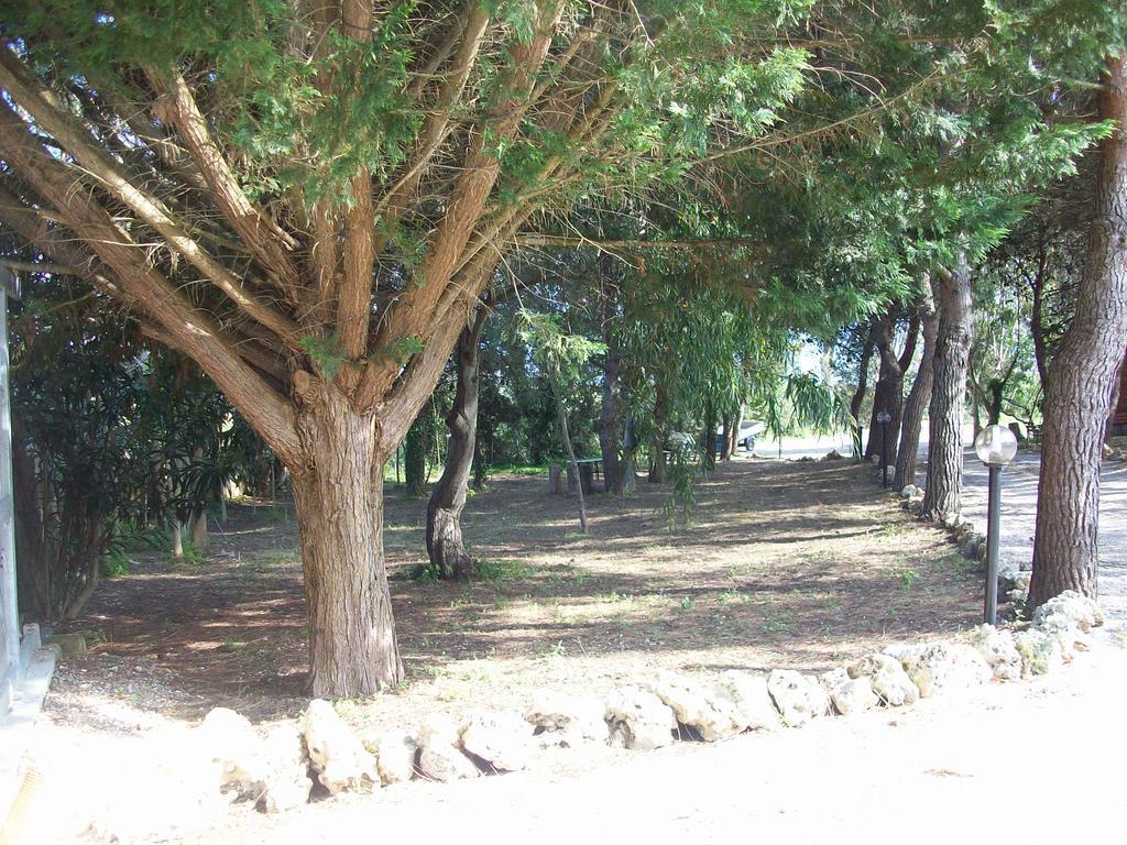 Appartamenti Turistici Aprile Antonio Luigi Borgagne Exterior foto
